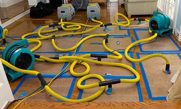 Professional Water Damage Restoration technician working in Mount Vernon, IA